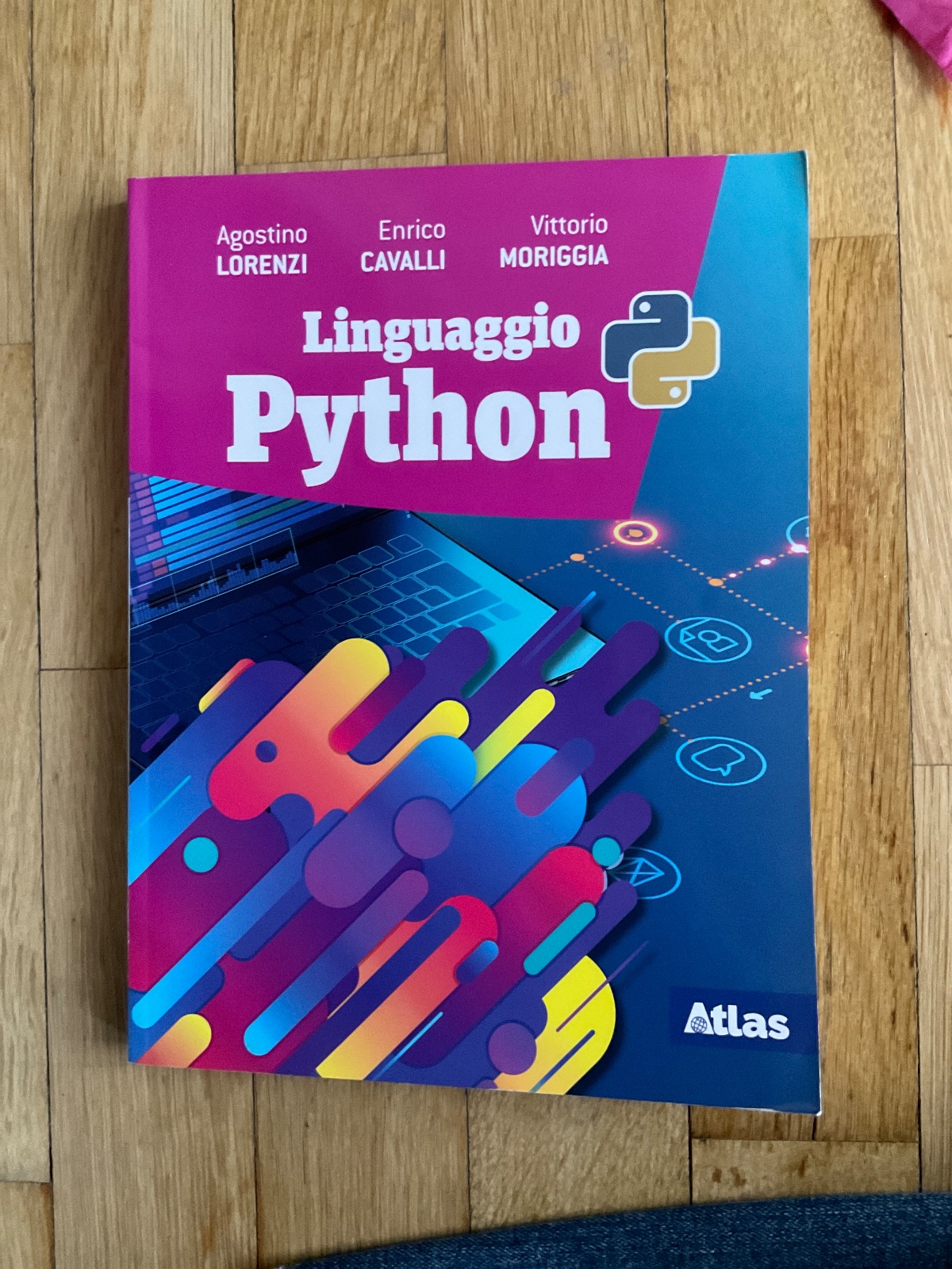 Foto di linguaggio python