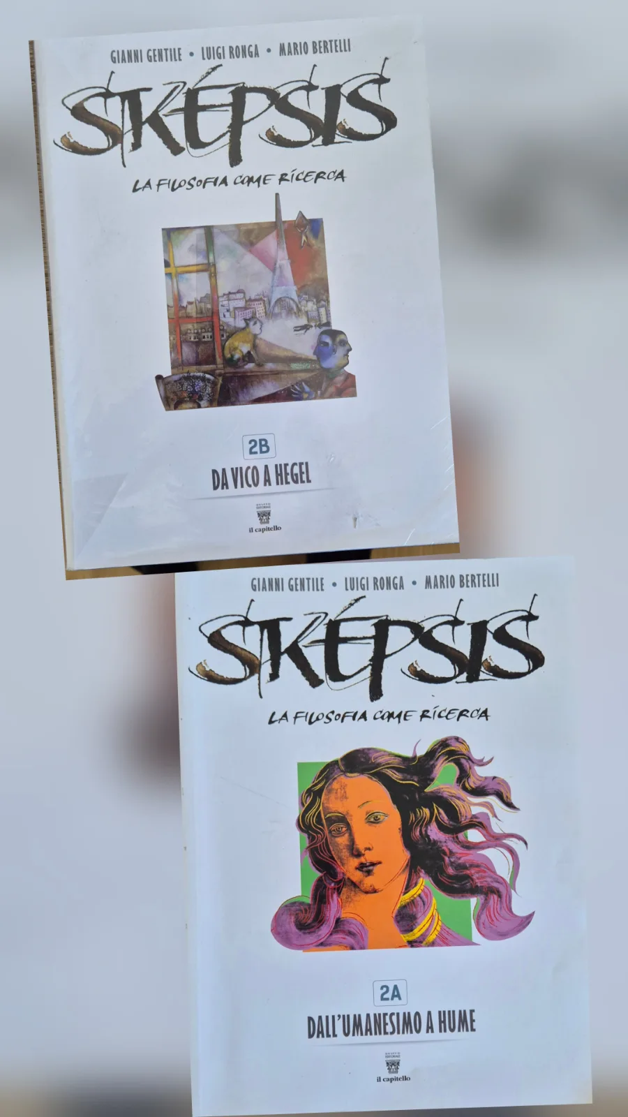 Foto di SKEPSIS 2A + 2B
